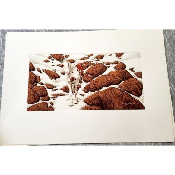 Bev Doolittle Hide and Seek Suite 6 Print Portfolio Book 10,294 Horses Western L - Picture 8 of 13